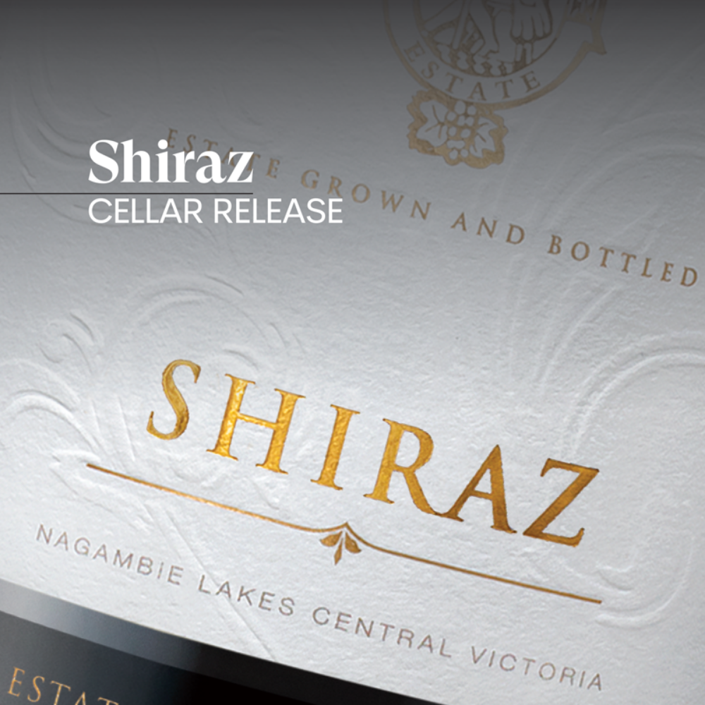 Picture of 2012 Shiraz