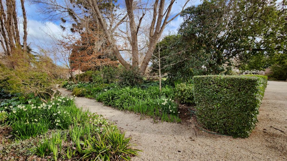 Picture of Bunya Cottage