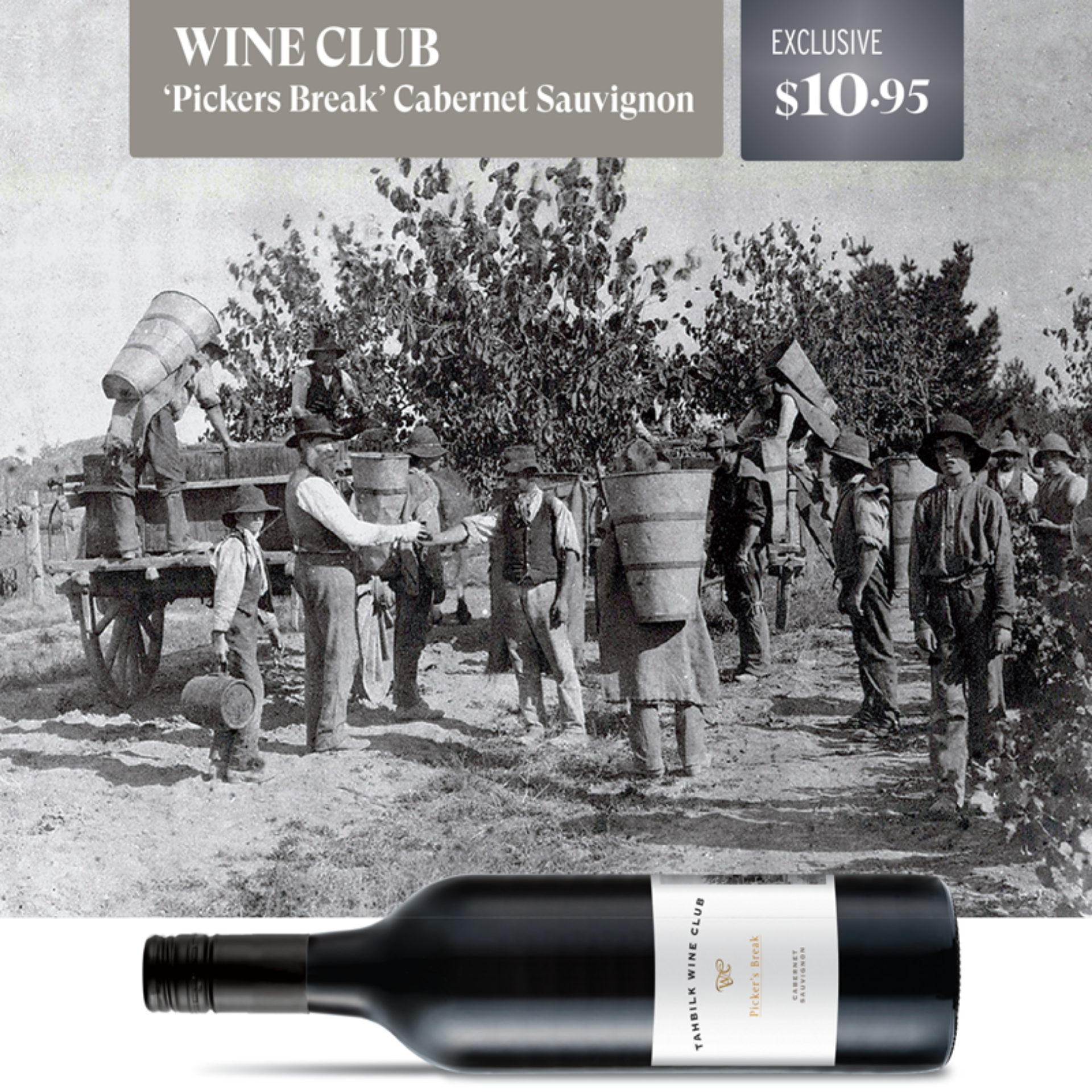 Picture of 2022 Wine Club Pickers Break Cabernet Sauvignon