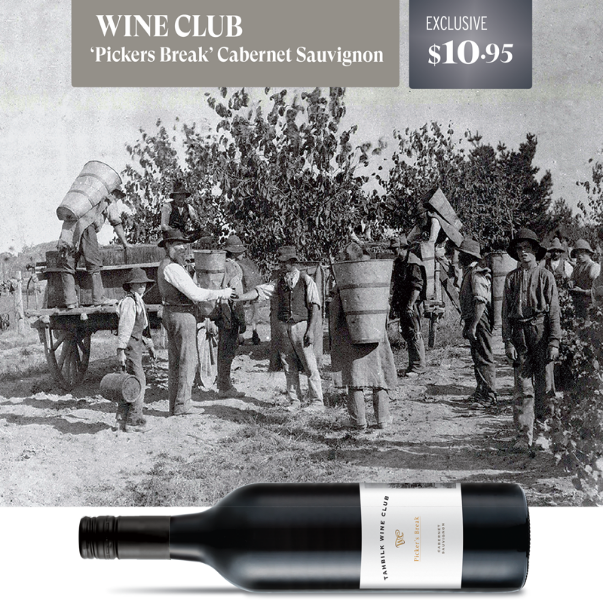 Picture of Tahbilk Wine Club 2024 Pickers Break Cabernet Sauvignon  | Double Dozen 