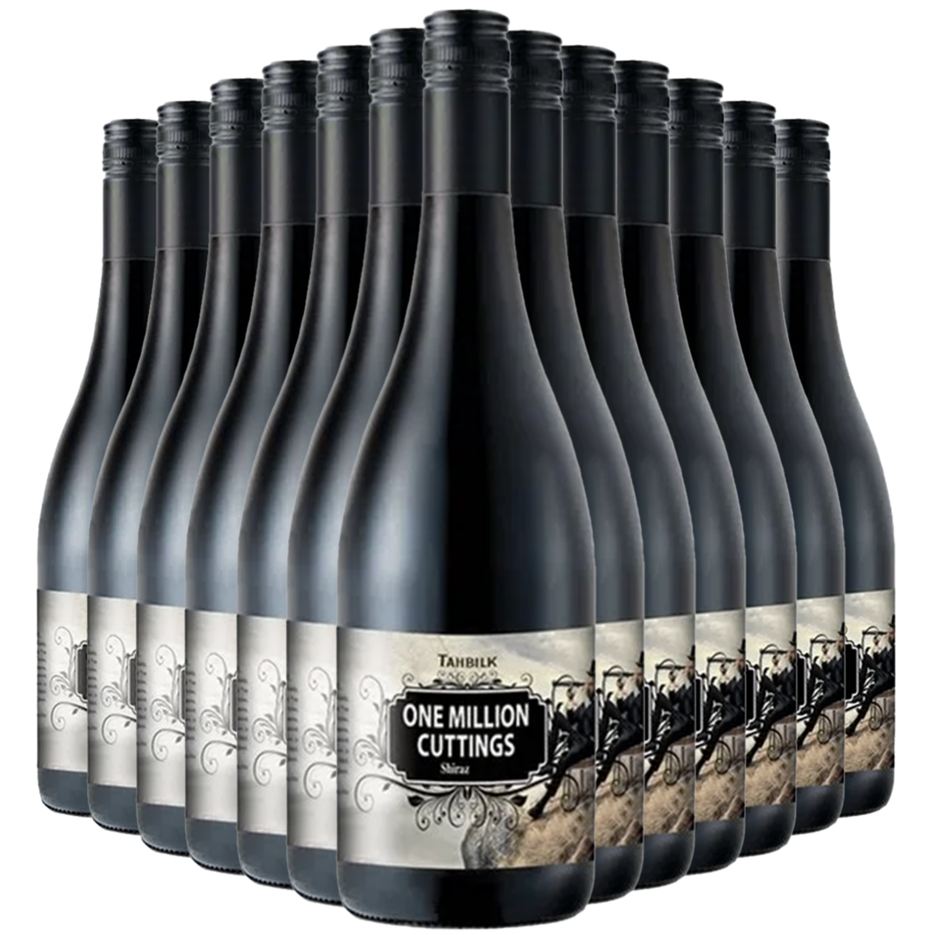 Picture of 2021 One Million Cuttings Shiraz  | Dozen