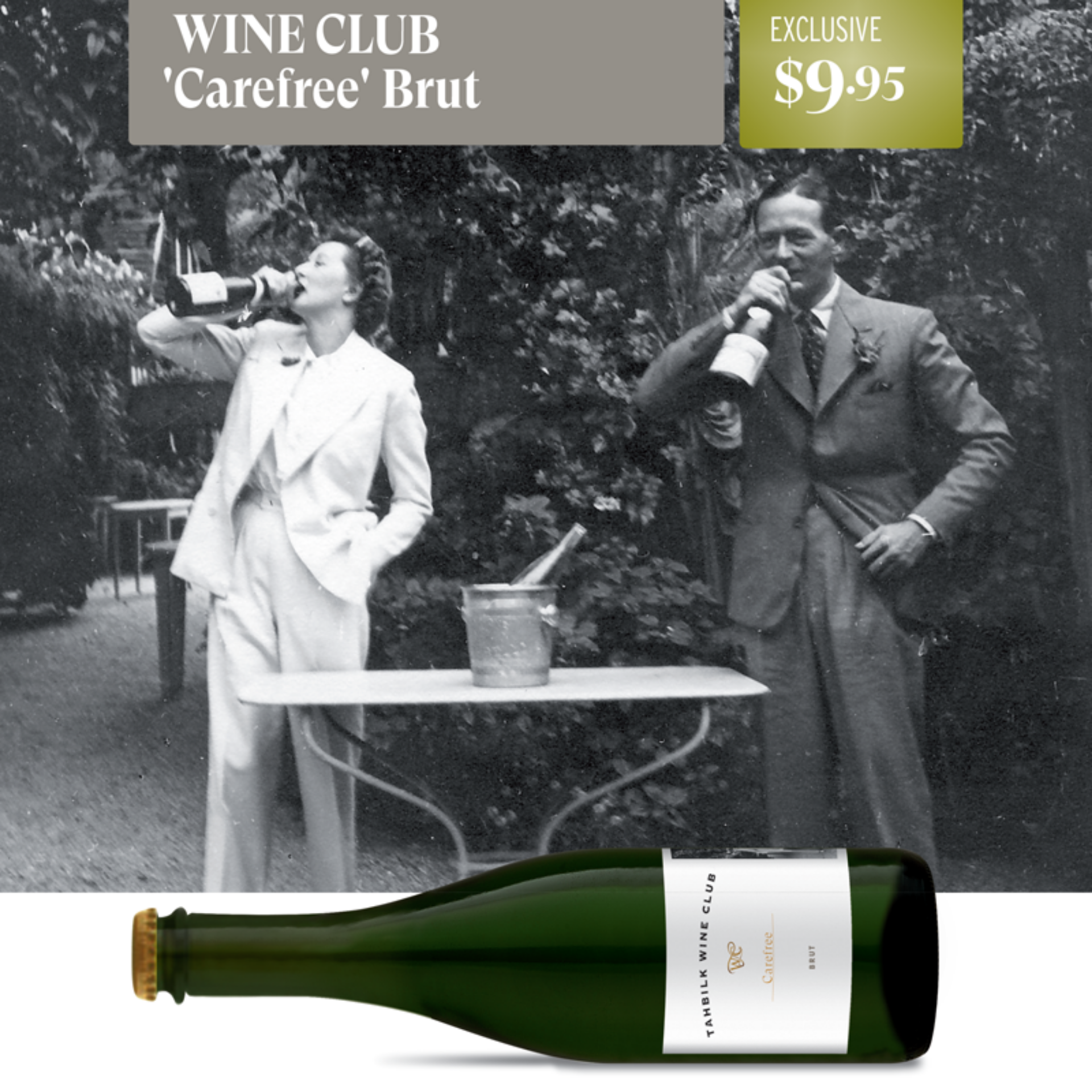 Picture of Tahbilk Wine Club 2025 Carefree Brut | Double Dozen 