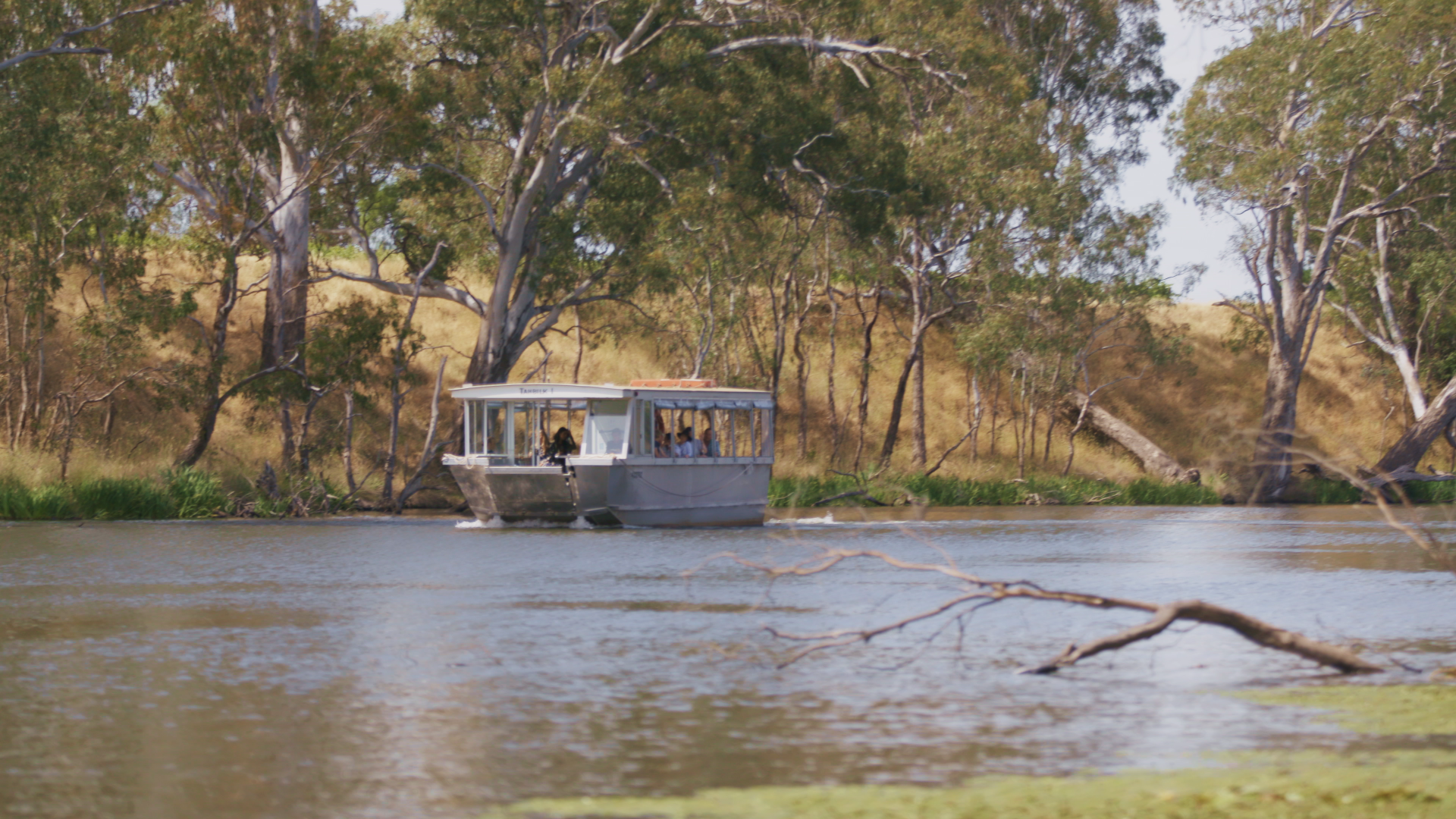Picture of Complimentary eCo Cruise