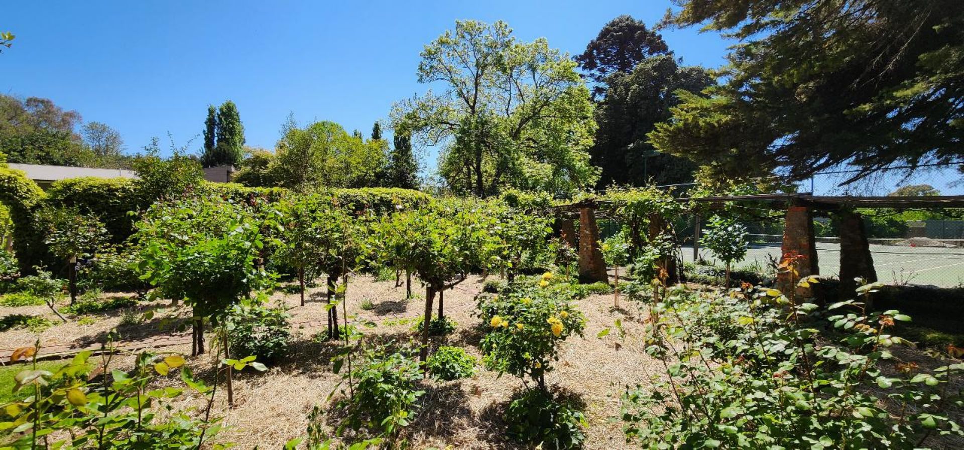 Picture of Tahbilk Estate Garden Tour & Lunch