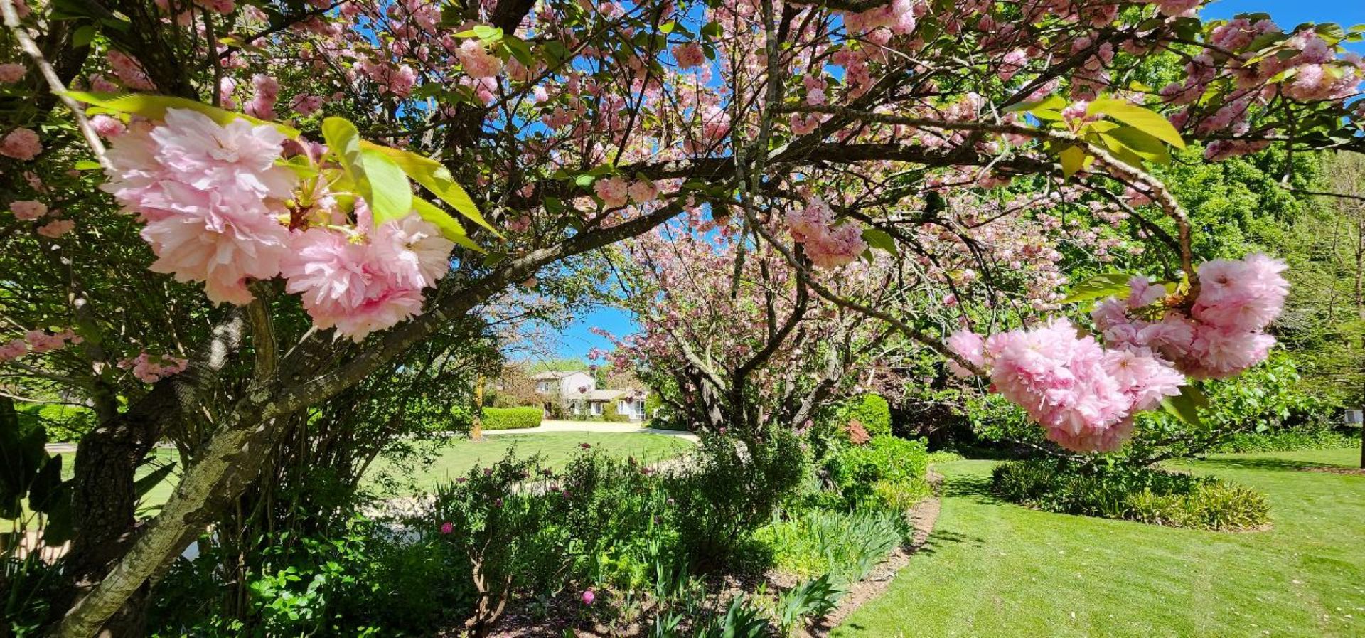 Picture of Tahbilk Estate Garden Tour & Lunch